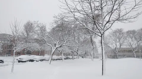Montreal in winter